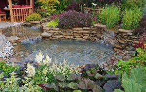 pond water feature in Chatham IL