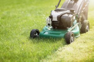 landscaping maintenance grass in Forsyth IL