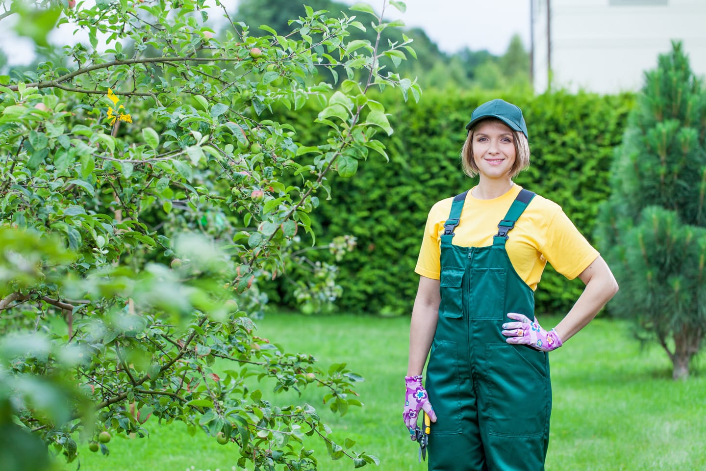 Organic Tree & Shrub Care Carlinville IL Landscape & Garden Center