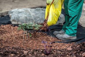 landscaping tips mulch springfield illinois