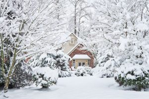 Residential home in the middle of trees and tree branches covered in thick layers of snow and needing winter tree care services in Springfield, IL.