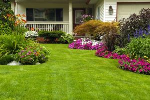 A beautifully landscaped lawn in Springfield, IL that was perfected by landscape designers at Monarch Landscaping.