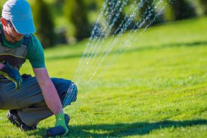 A professional landscaping and lawn care expert installing a modern sprinkler on a property to water grass in Springfield, IL.