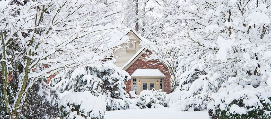 Residential home in the middle of trees and tree branches covered in thick layers of snow and needing winter tree care services in Springfield, IL.